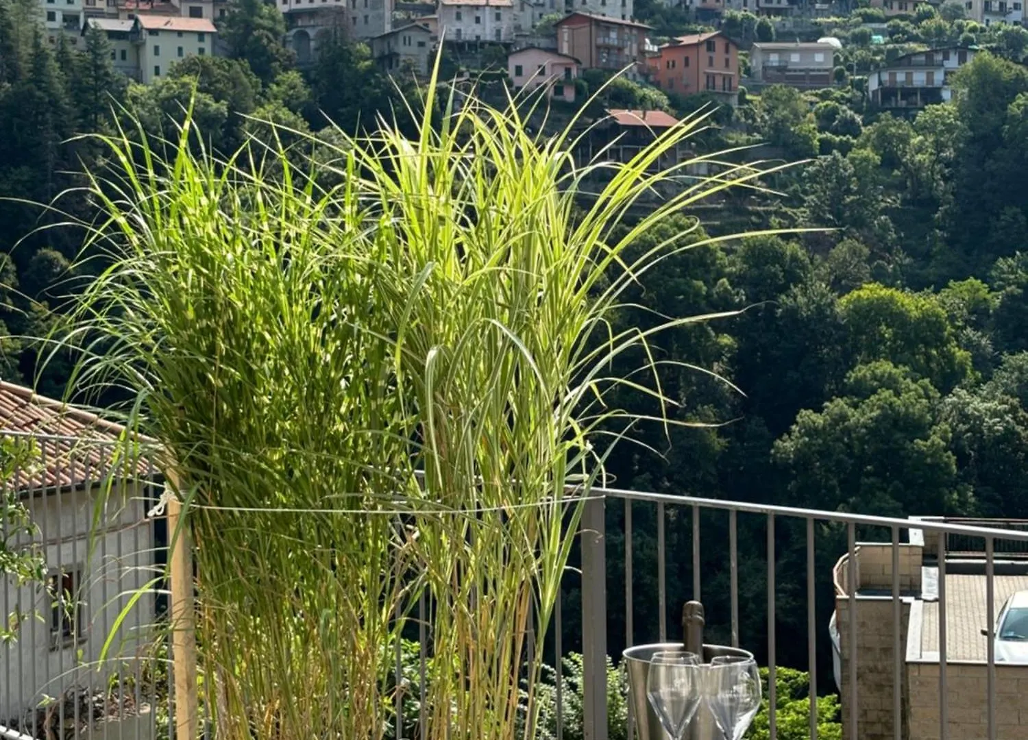 Il Giardino Segreto Apartment Faggeto Lario Italy