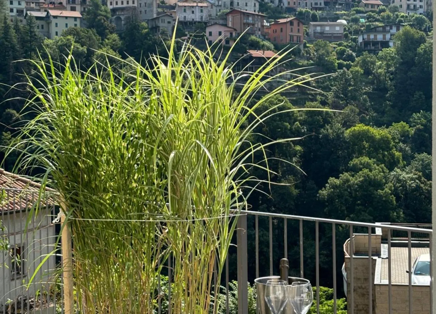 Il Giardino Segreto Apartment Faggeto Lario